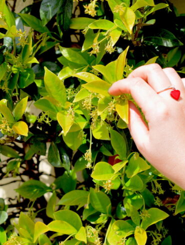 Bague pampille petit cœur rouge et anneau en argent ajustable